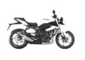 Triumph Street Triple 675 Top Speed & Acceleration